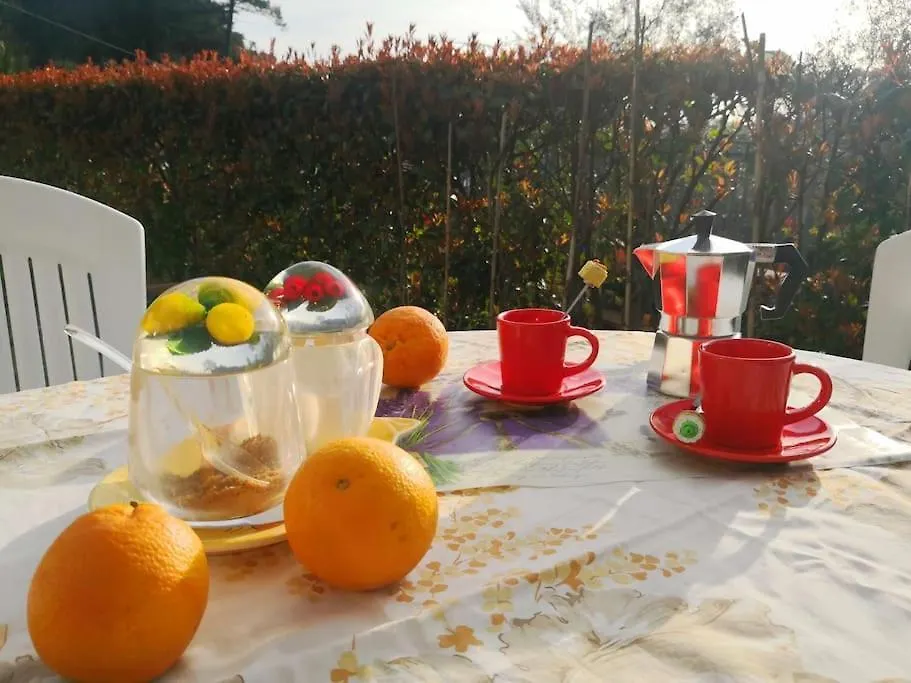 Casa Rosi, In Campagna, Relax Tra Mare E Montagna Apartment Giucano Italy