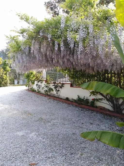 Casa Rosi, In Campagna, Relax Tra Mare E Montagna Apartment Giucano